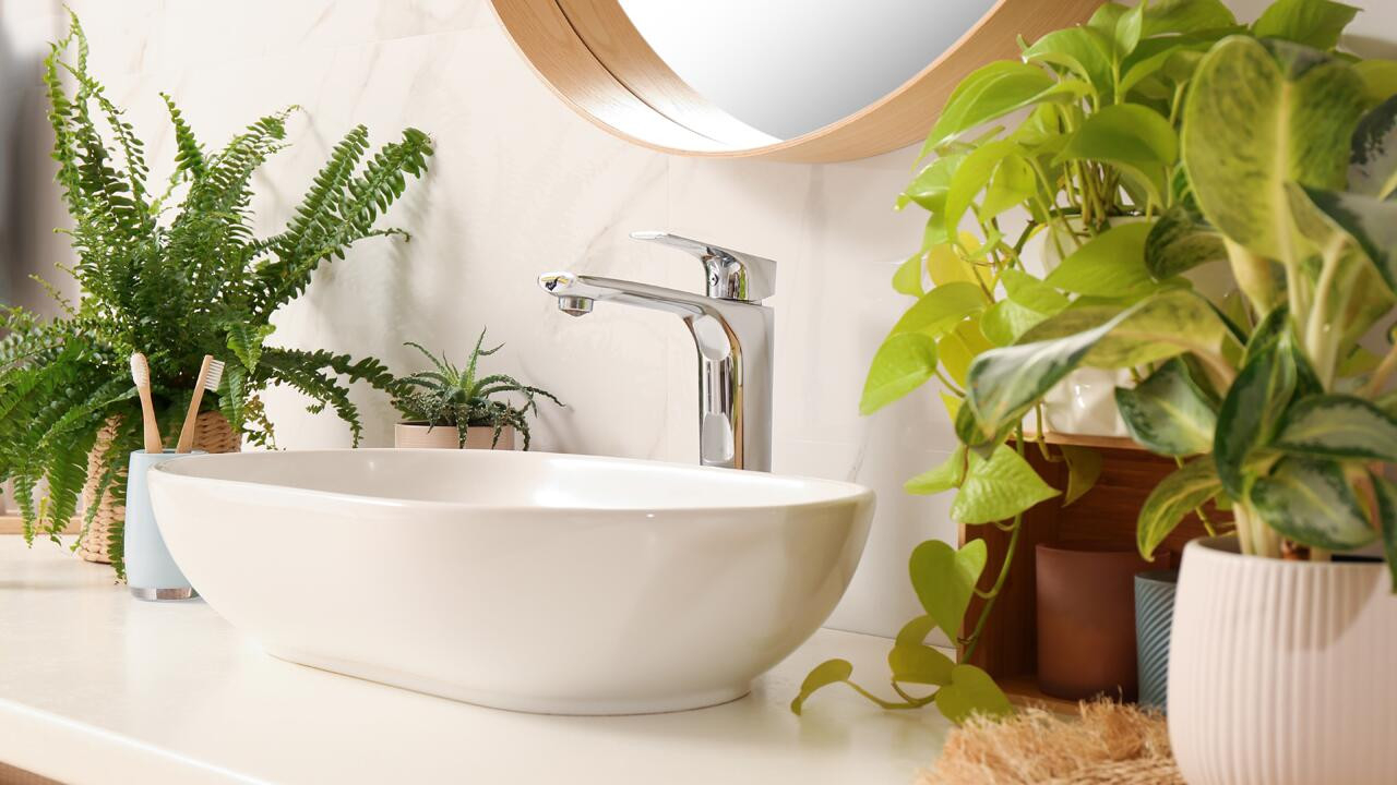 Pflanzen Fürs Bad: 8 Gewächse, Die Im Badezimmer Prächtig Gedeihen within Pflanzen Fürs Badezimmer
